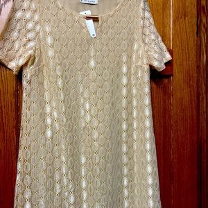 Lace cocktail dress NWT